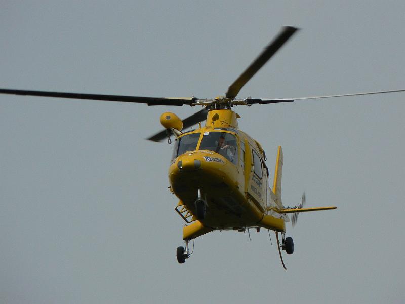 c-sard08_234.jpg