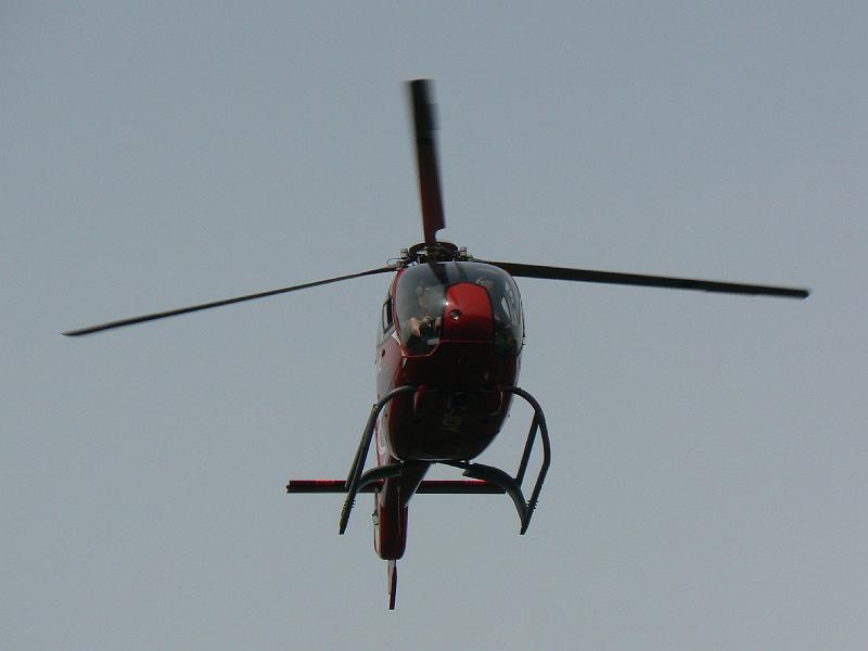 c-sard08_236.jpg