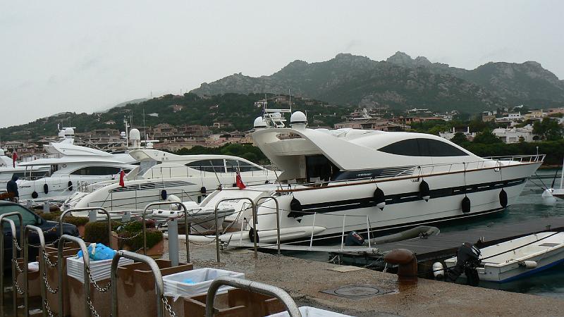 c-sard08_573.jpg