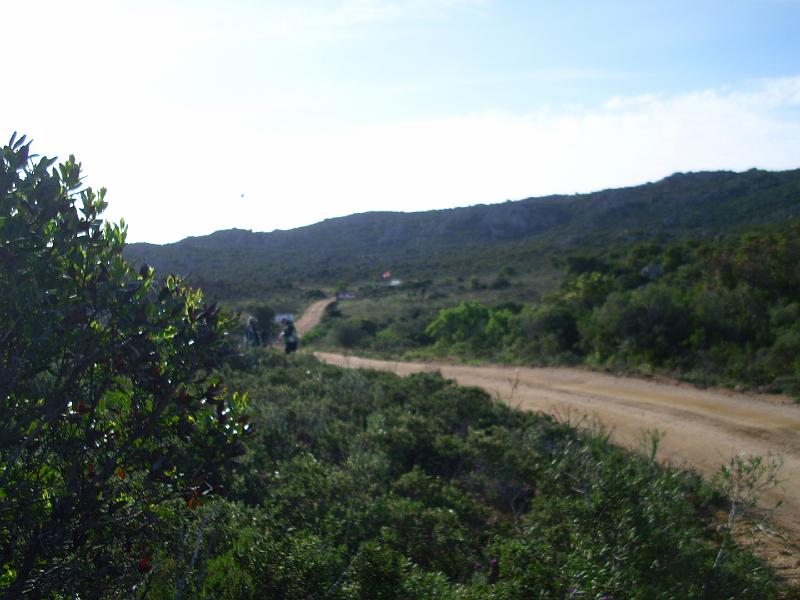k-sard08_131.jpg