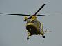 c-sard08_234