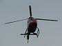 c-sard08_236
