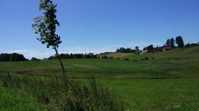 Poland2014_S4 145.jpg