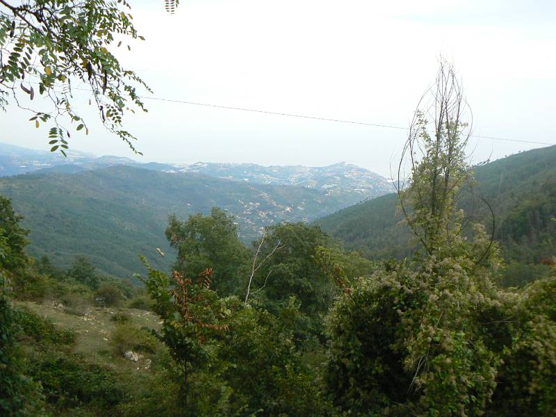 P1140065.JPG